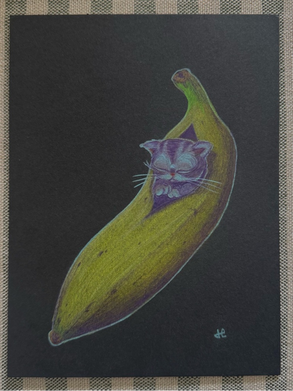Cat Sleeping in a Banana - Original Pencil Drawing - Desk/Wall Art 6”x8”